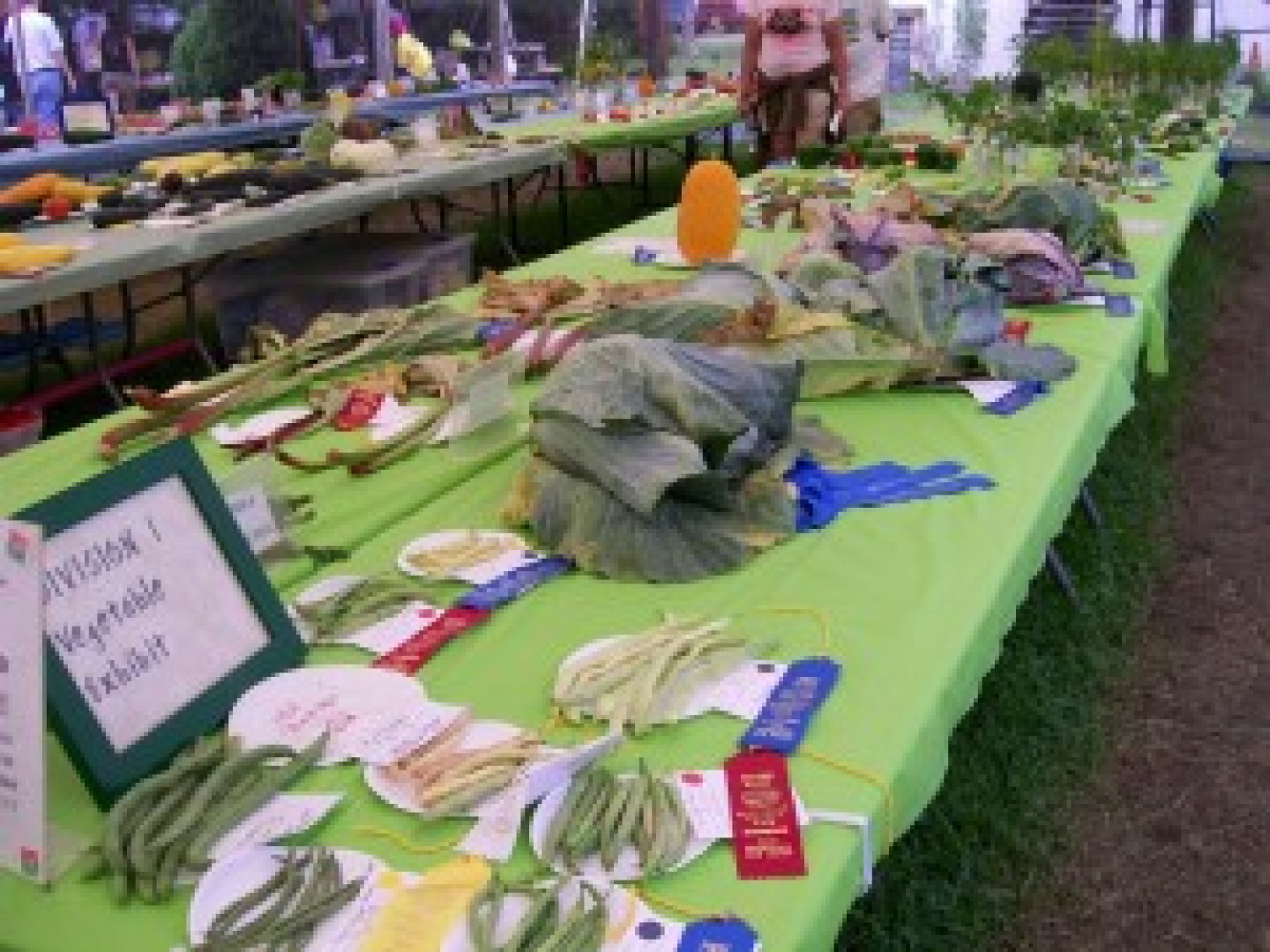 Vegetables Middlesex County Fair Association, Inc.