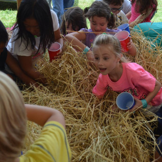 Photo Gallery | Middlesex County Fair Association, Inc.
